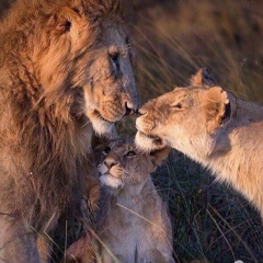 Камшат Джармухамбетова, 13.02.1984, Актобе