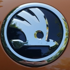 Сергей Король, 16.09.1983, Донецк