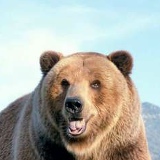 Віталій Олійник, 03.08.1986, Ромны