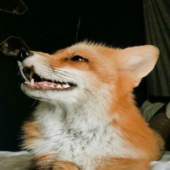 Ксения Фатеева, 27.04, Москва