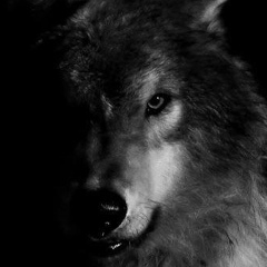 Bagdat Moldashakirov, 25.11, Астана