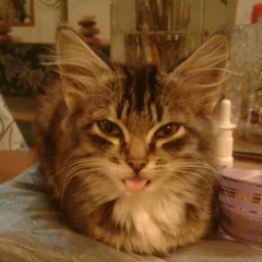 Зоя Мельникова, 16.03, Чериков