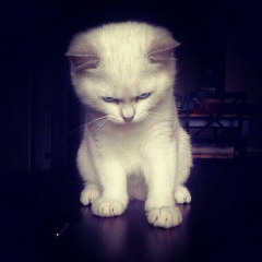 Юлія Малєєва, 01.09.1999, Николаев