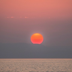Igor Medynsky, 10.01, Kraków