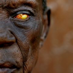 Александр Александров, Киев