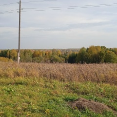 Людмила Кушнир (Сбродова), 14.06, Красноборск