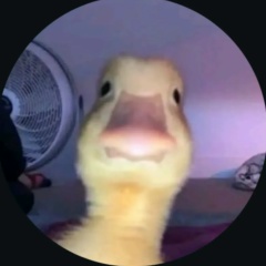 Альбина Рахметова