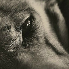 Kazik Nyrov, 12.04.1937