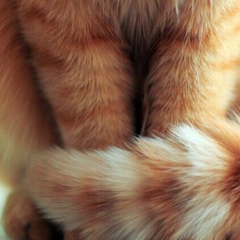 Катюша Похила, Одесса