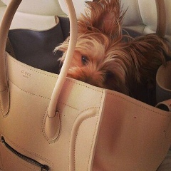 Алёна Халикова, 27.01, Кокшетау