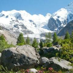 Дина , Санкт-Петербург