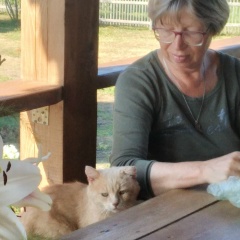 Наталья Луценко, Кингисепп