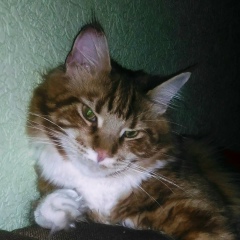 Саня Стукальский, 28.08, Кривой Рог