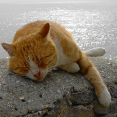 Михаил Завальнюк, 26.04, Киев