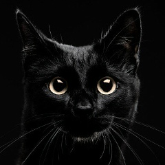 Айрат Шакиров, 05.05