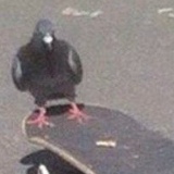 Павел Пешков, 01.05