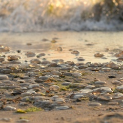 Елена Цубрикова, 11.12.1979, Санкт-Петербург