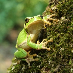 Марина Бакай-Худякова, Верхний Уфалей
