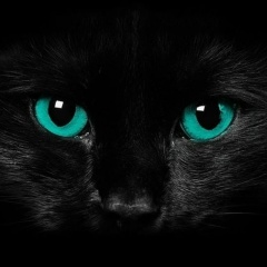 Галина Абдразакова, 13.02, Алматы