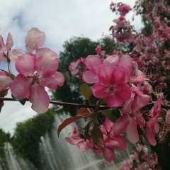 Юлия Садовникова, 10.11, Уфа