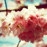 Maral Ustimirova, 15.10, Алматы