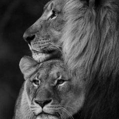 Мовсар Анасов, 18.05.1995, Грозный