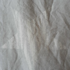 Виктория Моторная