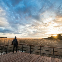 Максим Кудрявцев, 27.07.1987, Санкт-Петербург