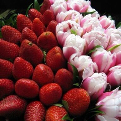 Елена Цуканова, 23.08.1983, Москва