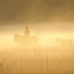 Евгений Погонин, 07.09.1987, Орехово