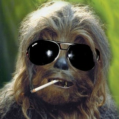 Максим Лапчук, 01.05.1901, Винница