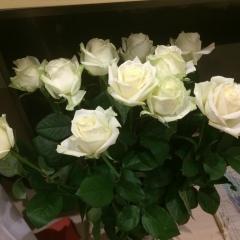 Надежда Дыкман, 08.07, Москва