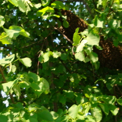 Наталья Соловьева, 21.05.1980