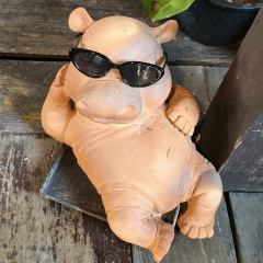 Мира Жуков, Москва