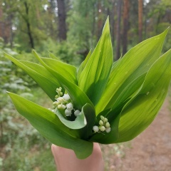 Мария Тарасова, Пенза