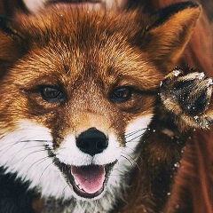 Виктория Сергиенко