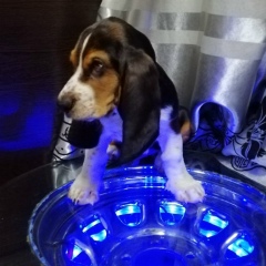 Павел Ковырягин, 01.05.1984, Санкт-Петербург