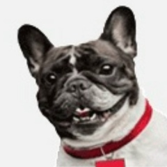 Валерий Разномазов, 06.08.1984, Ростов-на-Дону