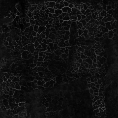 Олег Щепин, Санкт-Петербург