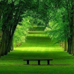 Айгуль Шеркозуева, 04.01.1985, Москва