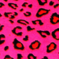 Илья Губарев, 15.06