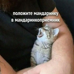 Red Formidable, 11.08.2001, Ижевск