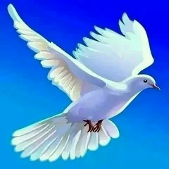 Myat Ayeyarwady, 10.06.1990