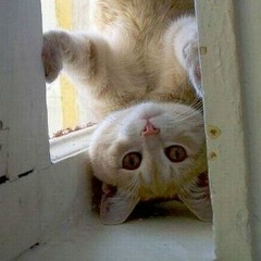 Максим Петропавловский, 29.08, Петрозаводск