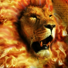 Pyae Aung, 22.03.1990, Bangkok