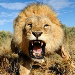 Олег Худокормов, 12.02, Москва