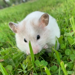 Евгения Скринкович, 16.04, Москва