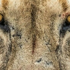 Кайрат Кайратович, Тараз