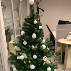 Рашид Хазипов, Казань