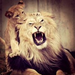 Bobur Ismailjanov, 05.06, Шымкент